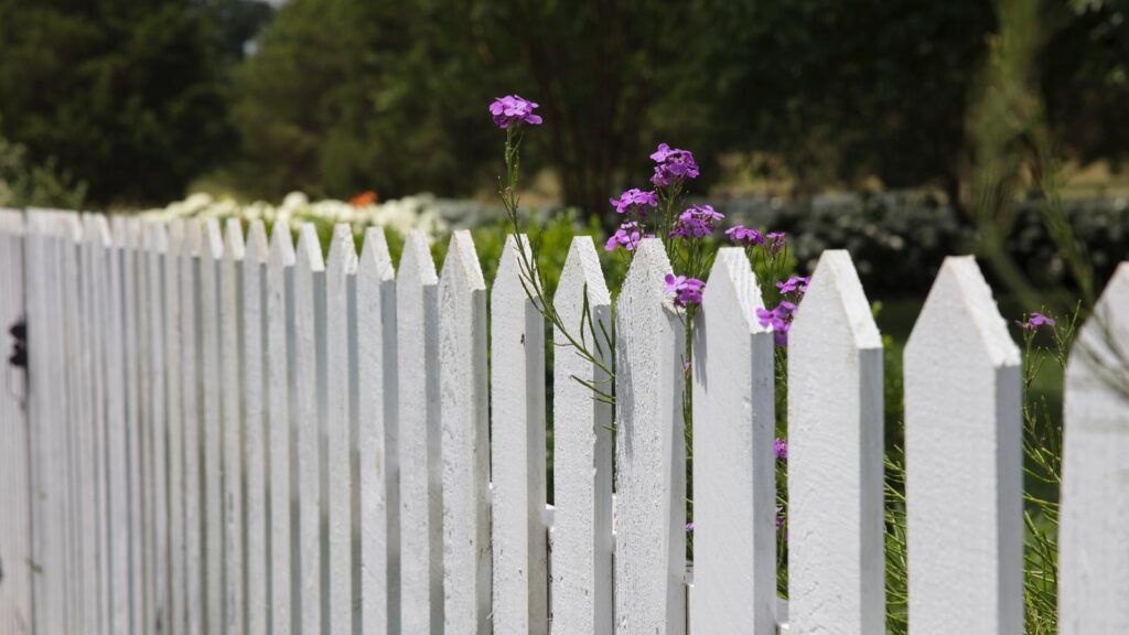 white picket fence meaning for blacks